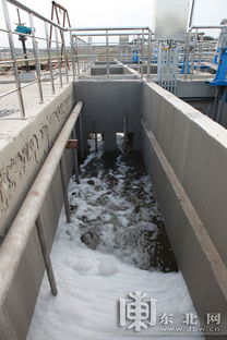 哈市江南主城区污水处理工程全面竣工 日处理能力117万吨，守护城市碧水清流