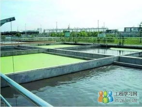 各行业废水处理工艺详解与污水处理策略